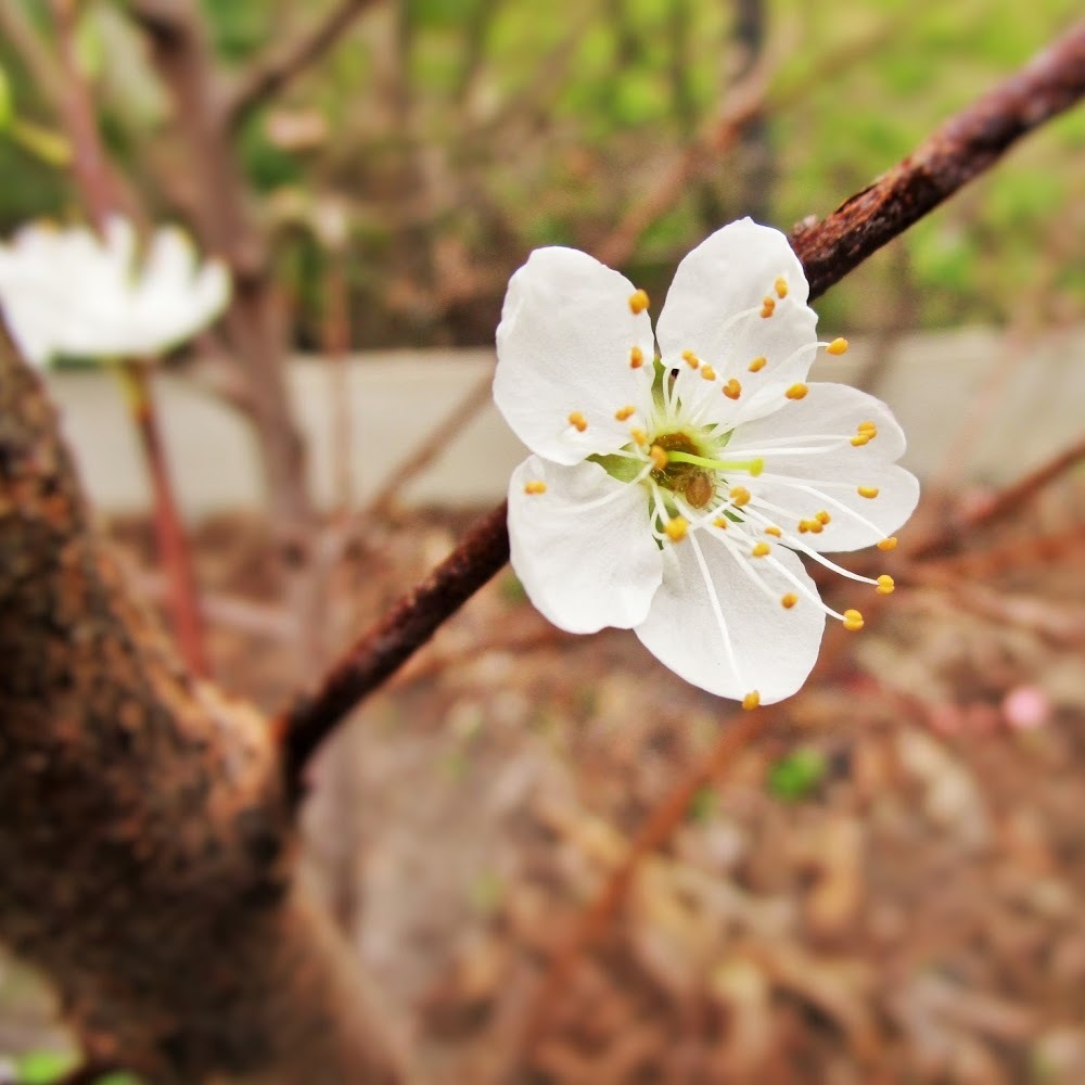 Meet your Posher, Tori